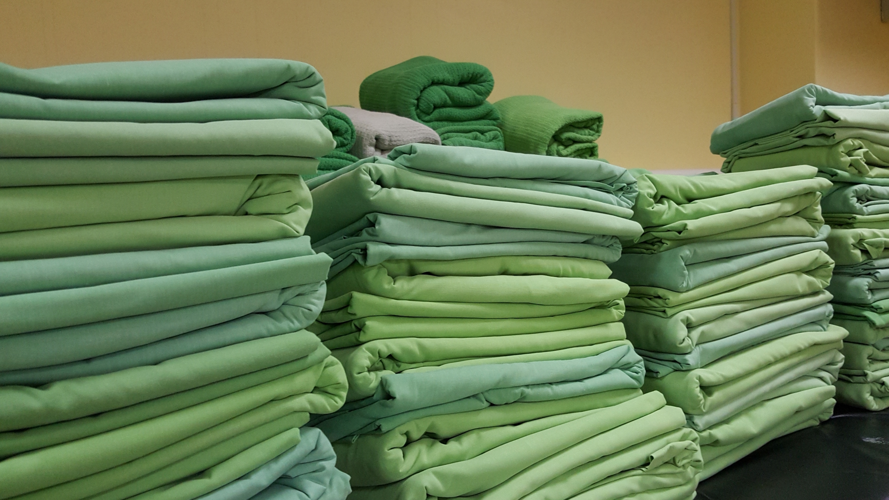 Shutterstock 513673888