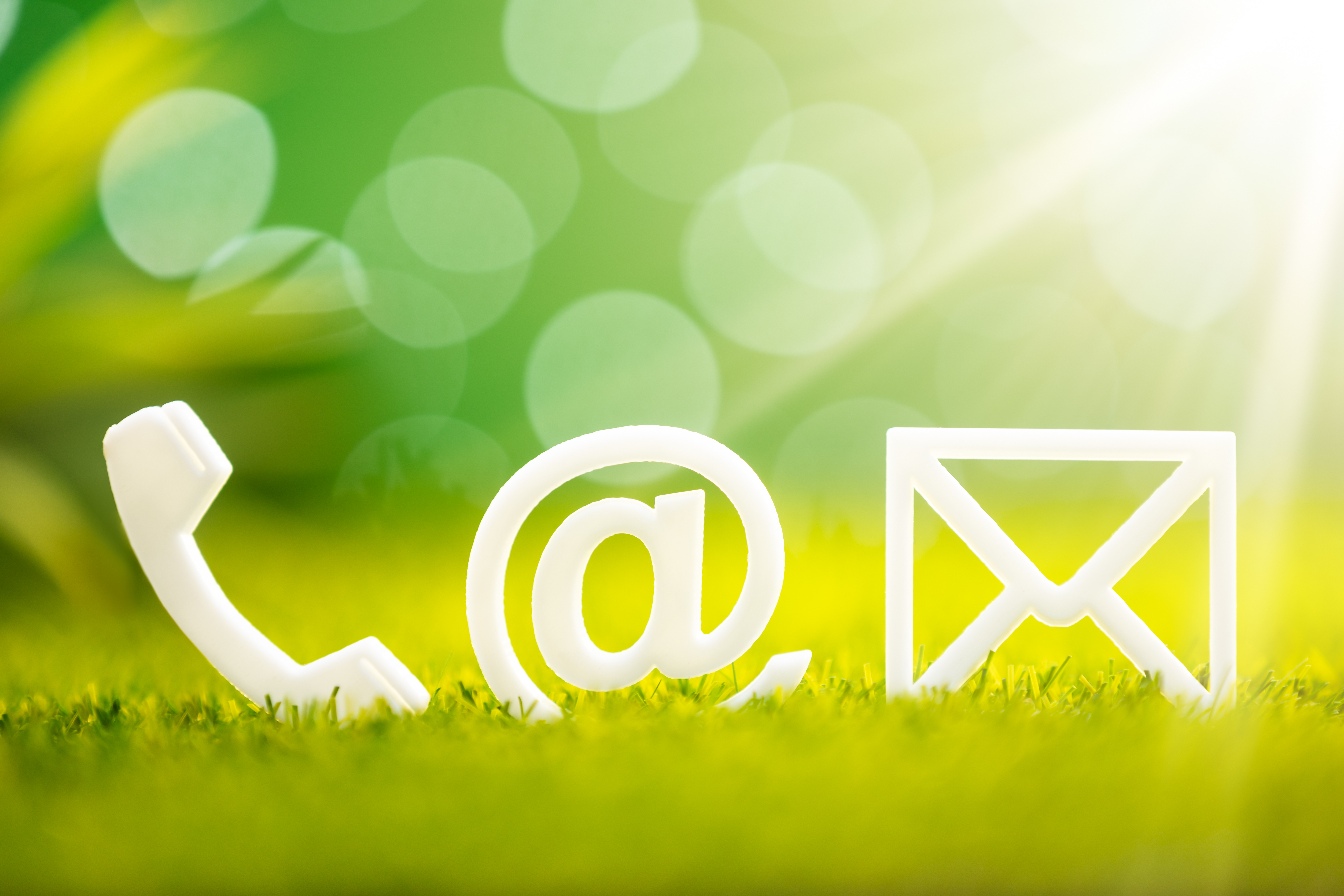 Shutterstock 1361081414